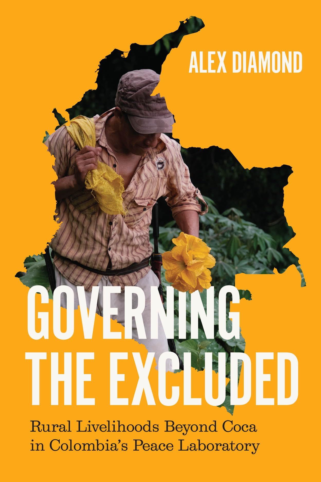 Governing the Excluded: Rural Livelihoods Beyond Coca in Colombia's Peace Laboratory