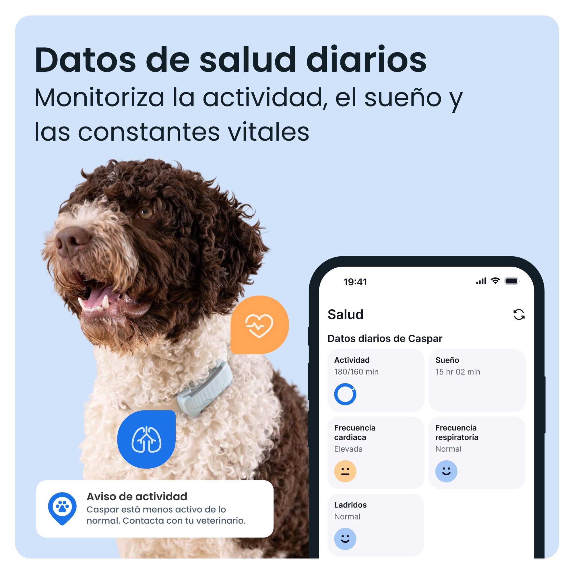Tractive - GPS perros | 2025 Edición | N.º 1 del mercado | Localización en tiempo real | Alertas antifuga | Monitor de actividad | Avisos de salud | Seguimiento de ladridos (Menta)
