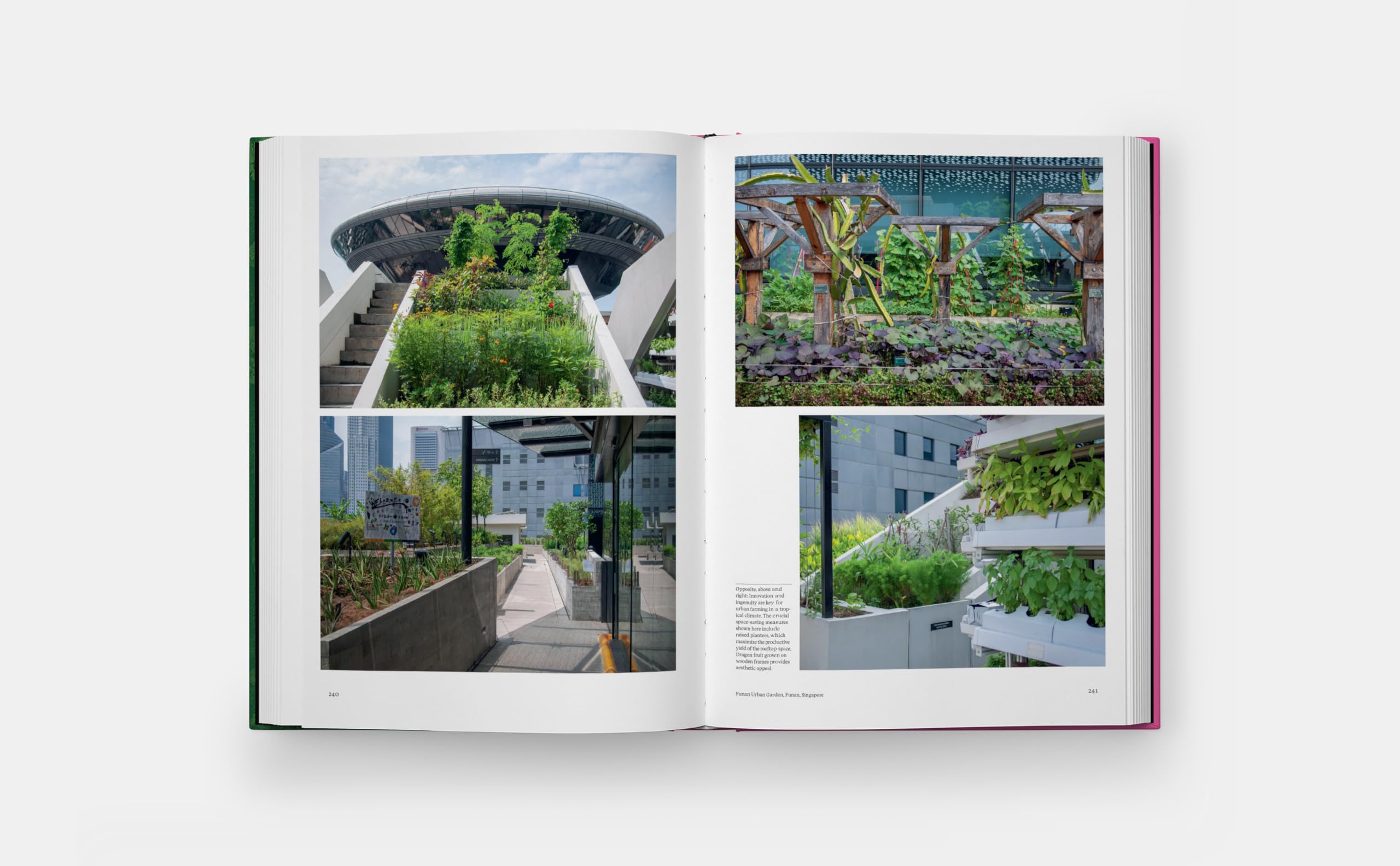The kitchen garden