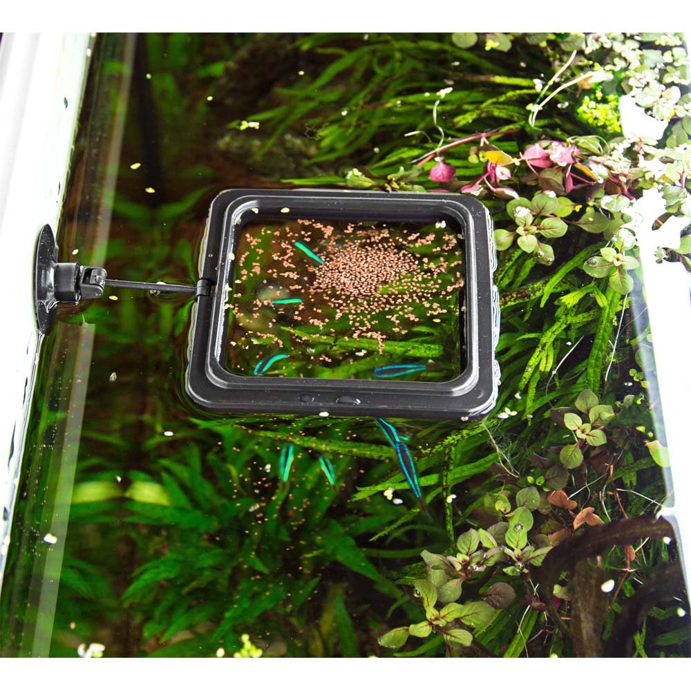 Hobby 61304 Feeding Station 2, rettangolare, 10 x 10 cm