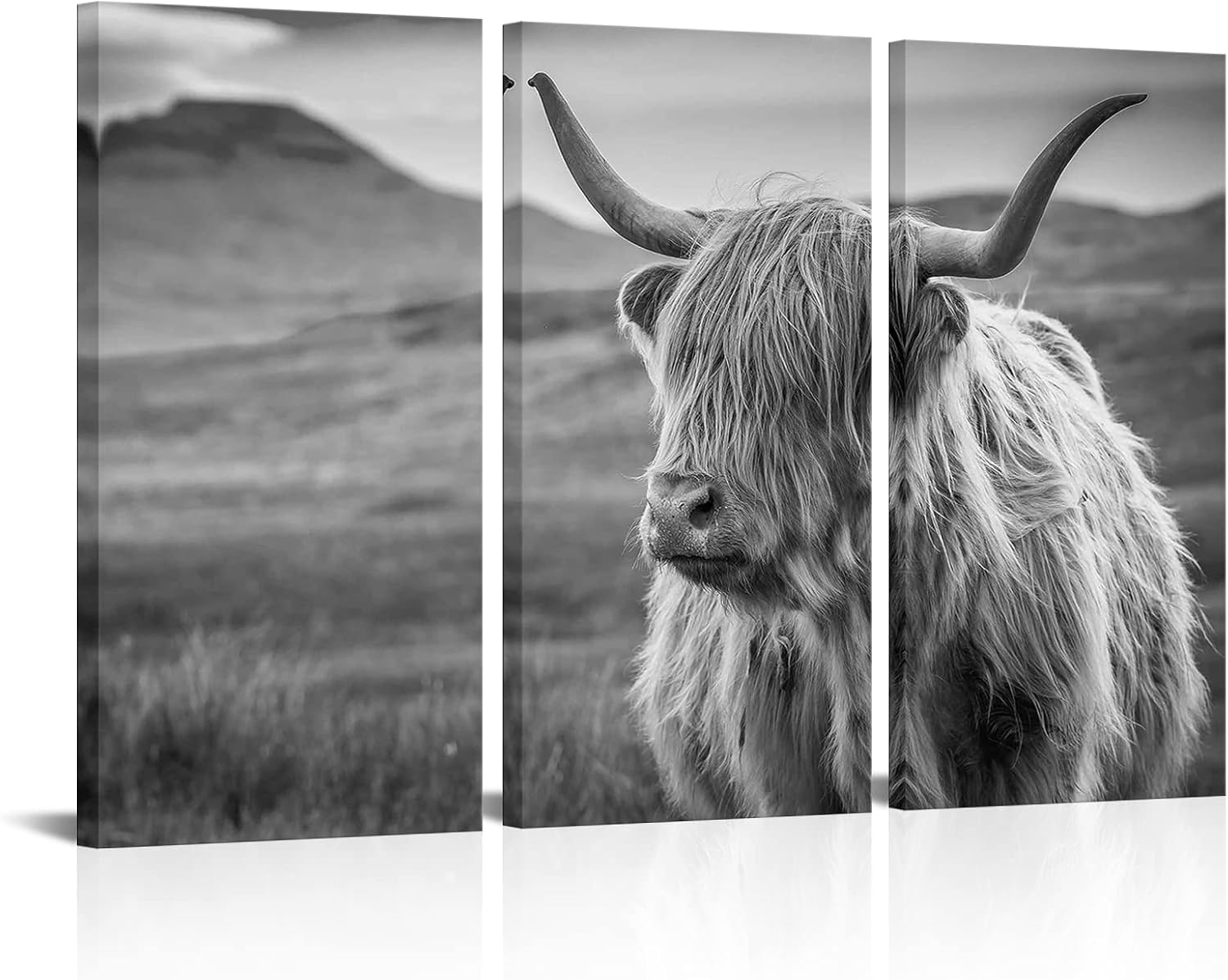 HOMEOART Highland Cow Wall Art Black and White Farmhouse Wall Decor Cow Picture Framed Ready to Hang Large 16x32inchx3 Panels
