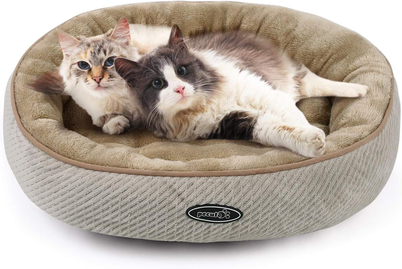 cuscino da terra per cani