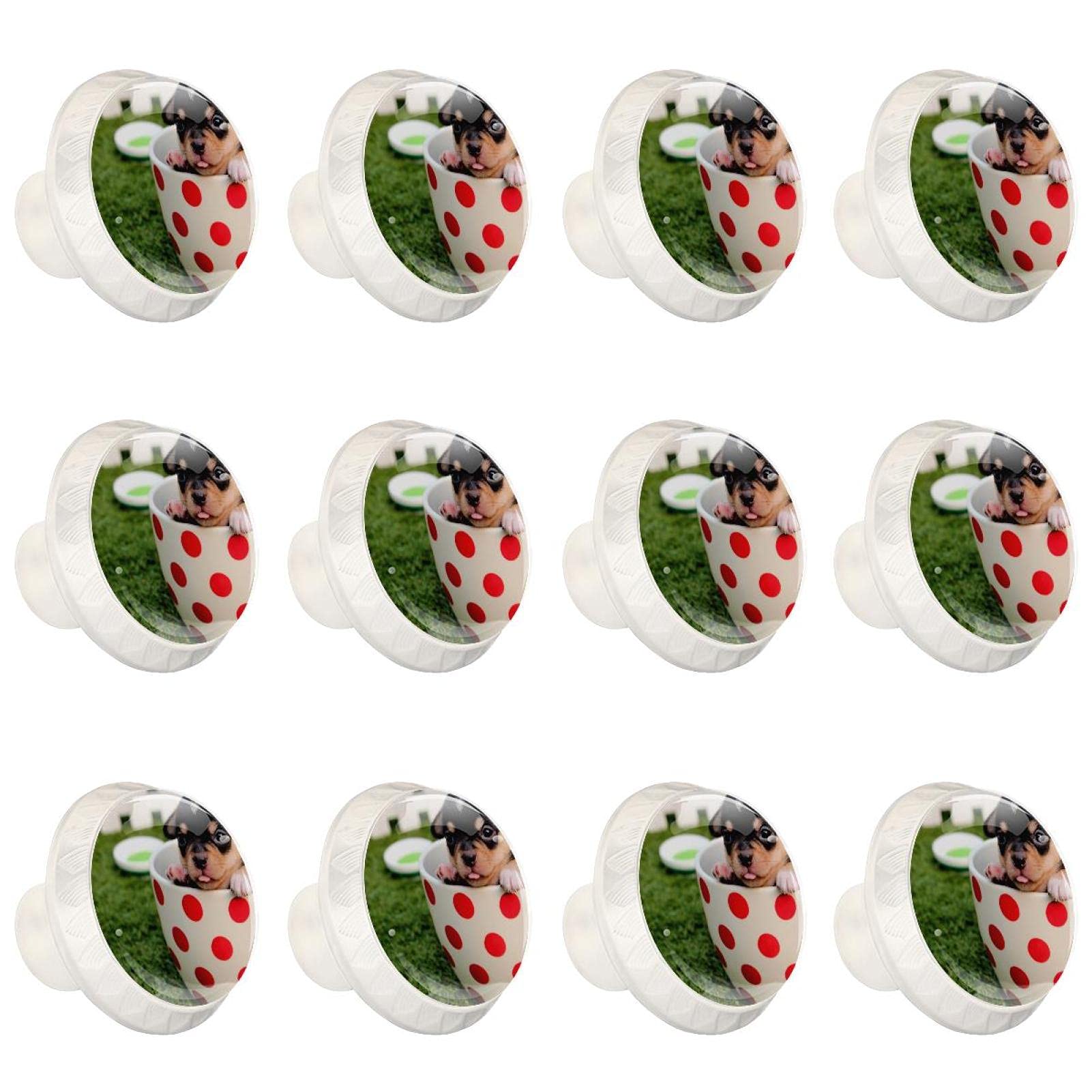 Boutons d'armoires de cuisine ronds pour remplacer une poignée cassée de meuble