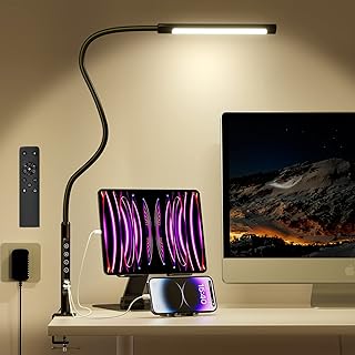 LED Desk Lamp, Desk Lamp with 2 USB Charging Ports (Type-C & A), Clip on Desk Lamp for Home Office, Dimmable 6 Color Modes & 6 Brightness, Eye-Caring Desk Lamp with Clamp, Aluminum Alloy