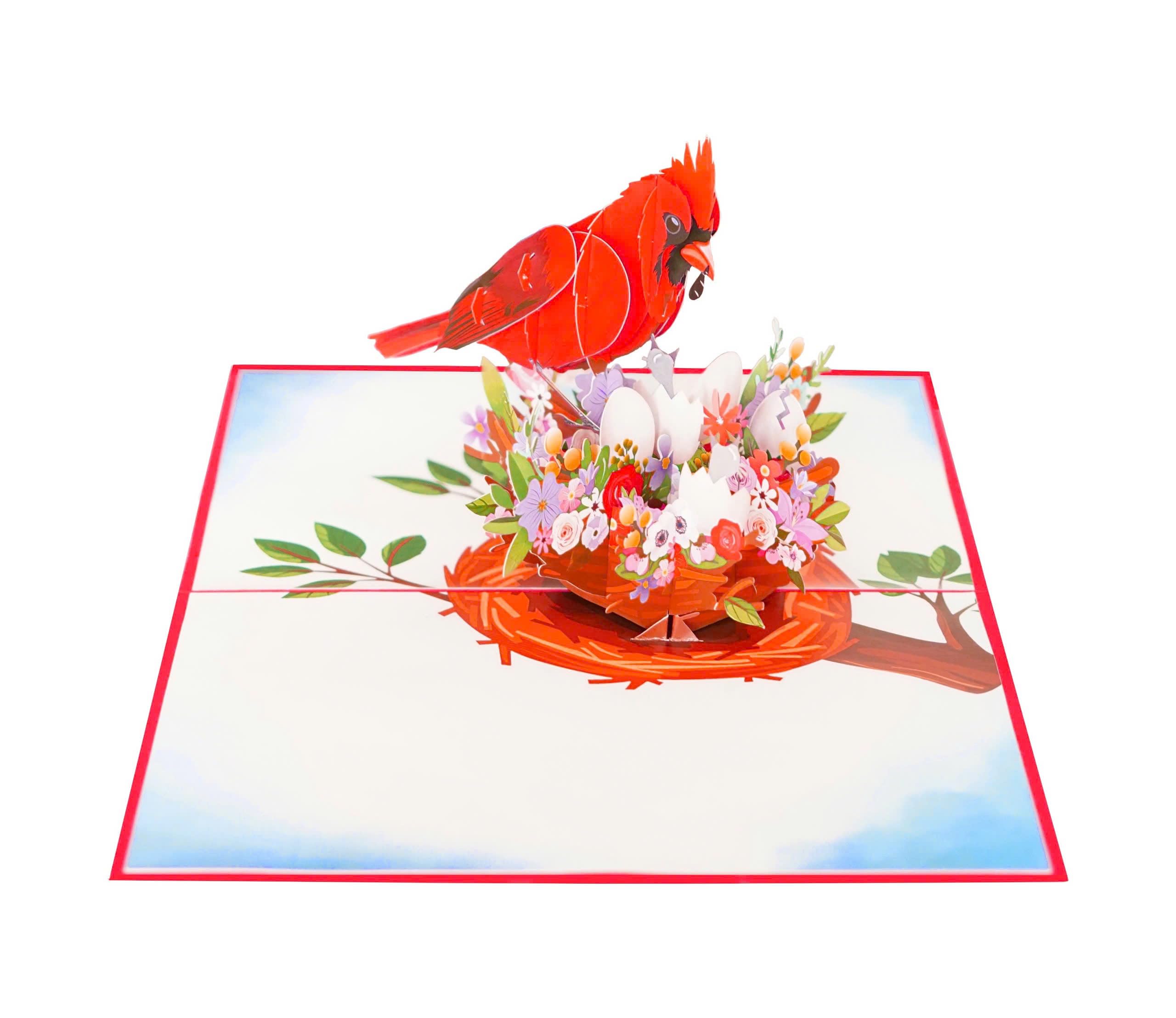PQ Bees Cardinal Nest – Cartes D'anniversaire 3D Pour Femme, Carte D'anniversaire Pop-up 15,2 X 20,3 Cm Pour Maman, épouse, Elle, Fille, Sœur