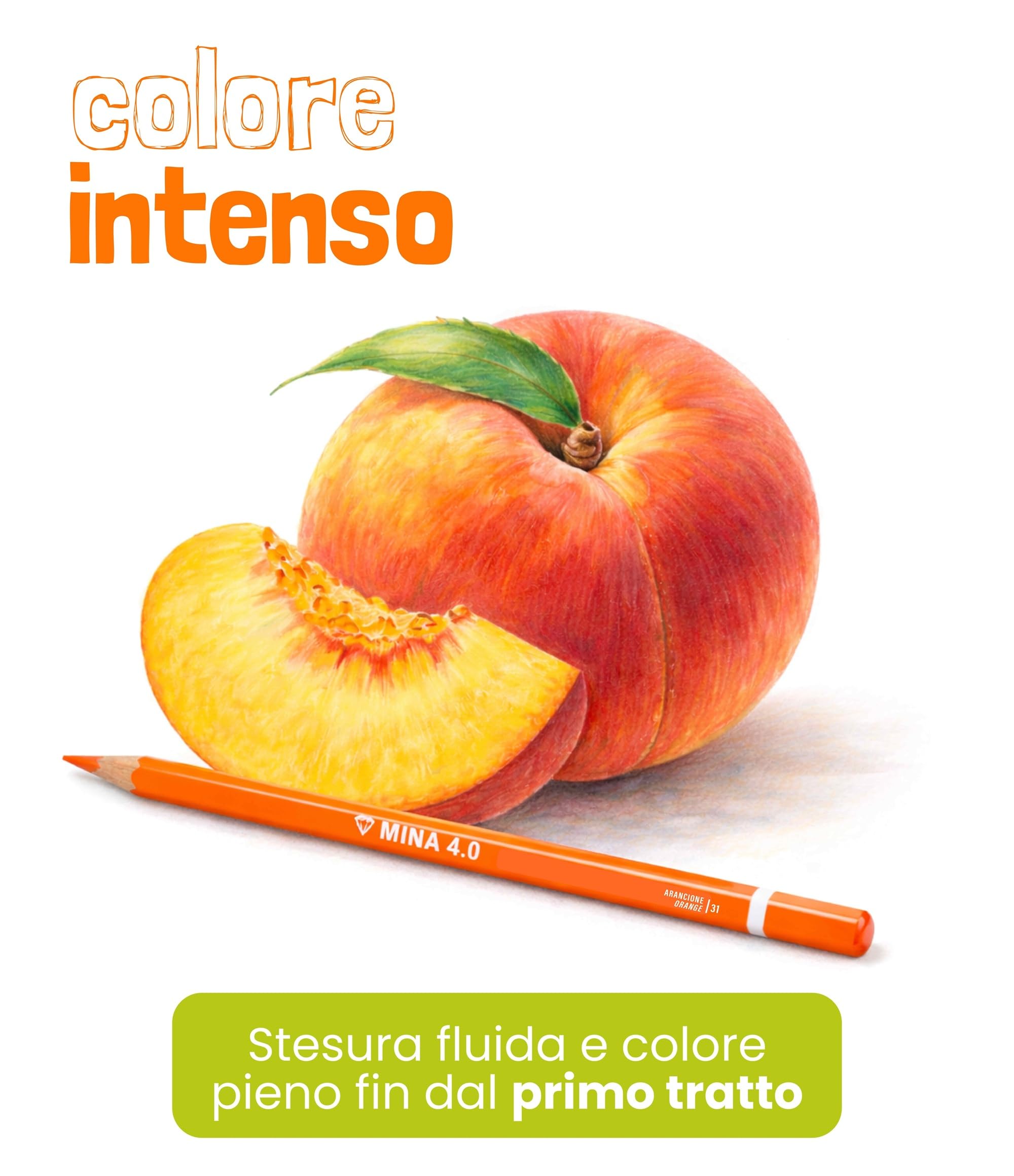 Seven Set Matite Colorate - Scatola da 18 pz - Confezione Pastelli Scuola, Ufficio - MINA 4.0 - Spazio Etichetta Nome