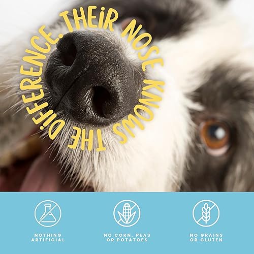 Miniatura 7 de hotspot pets All Natural - Palitos de pollo alternativos de cuero crudo para perros (paquete de 30) golosinas masticables digeribles para perros,