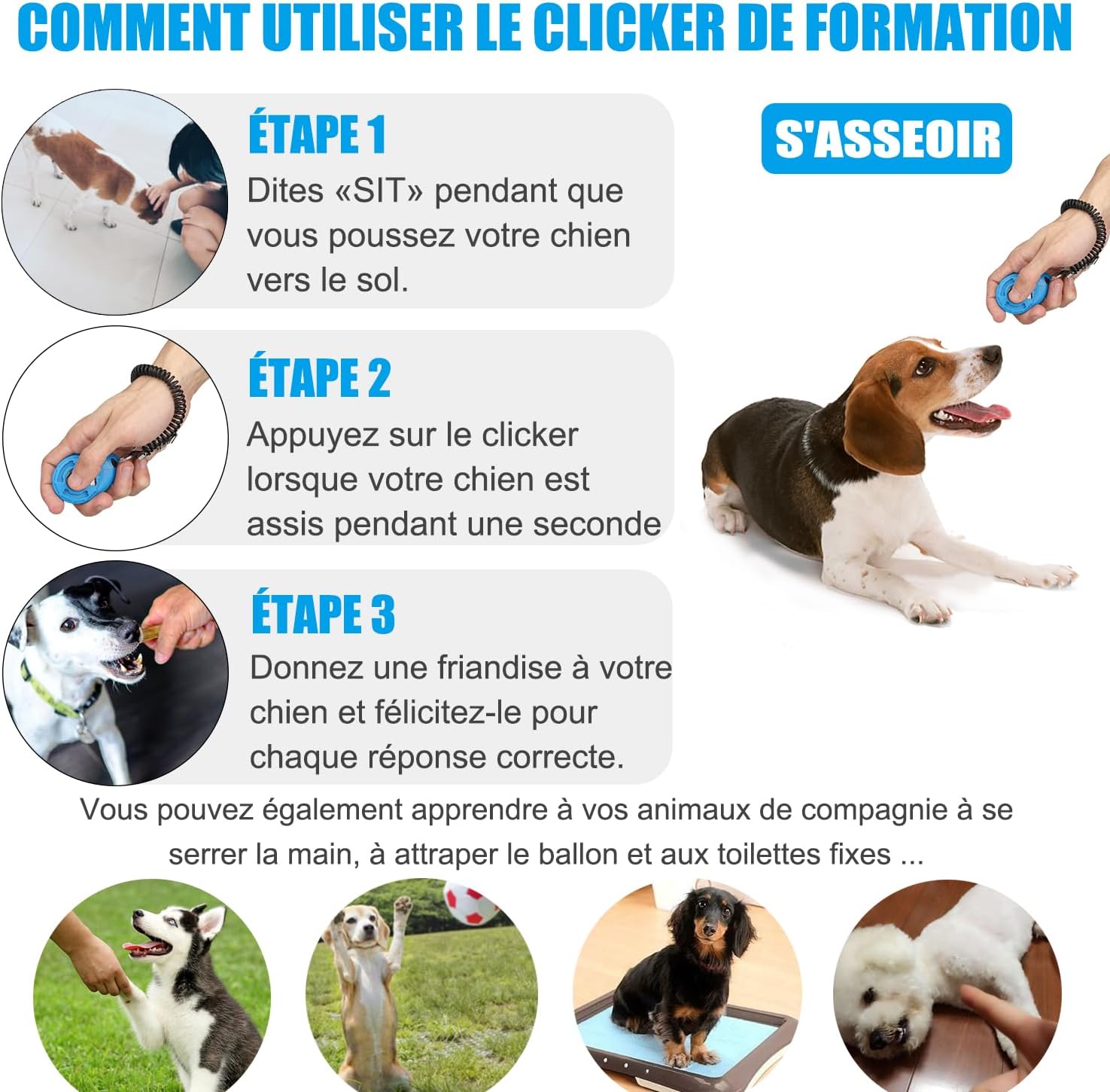 Qualité et ergonomie des clickers Diyife