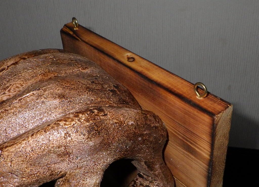 Amazon.co.jp: ティラノサウルス T-REX 頭部化石模型 : おもちゃ