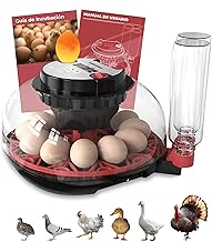 Arcanix Automatic Chicken Egg Incubator 12 to 16 Eggs Incubator Eggs Hen with Automatic Flipping Temperature and Humidity Control Thermometer Chocadeira Ovos Automatic for Birds