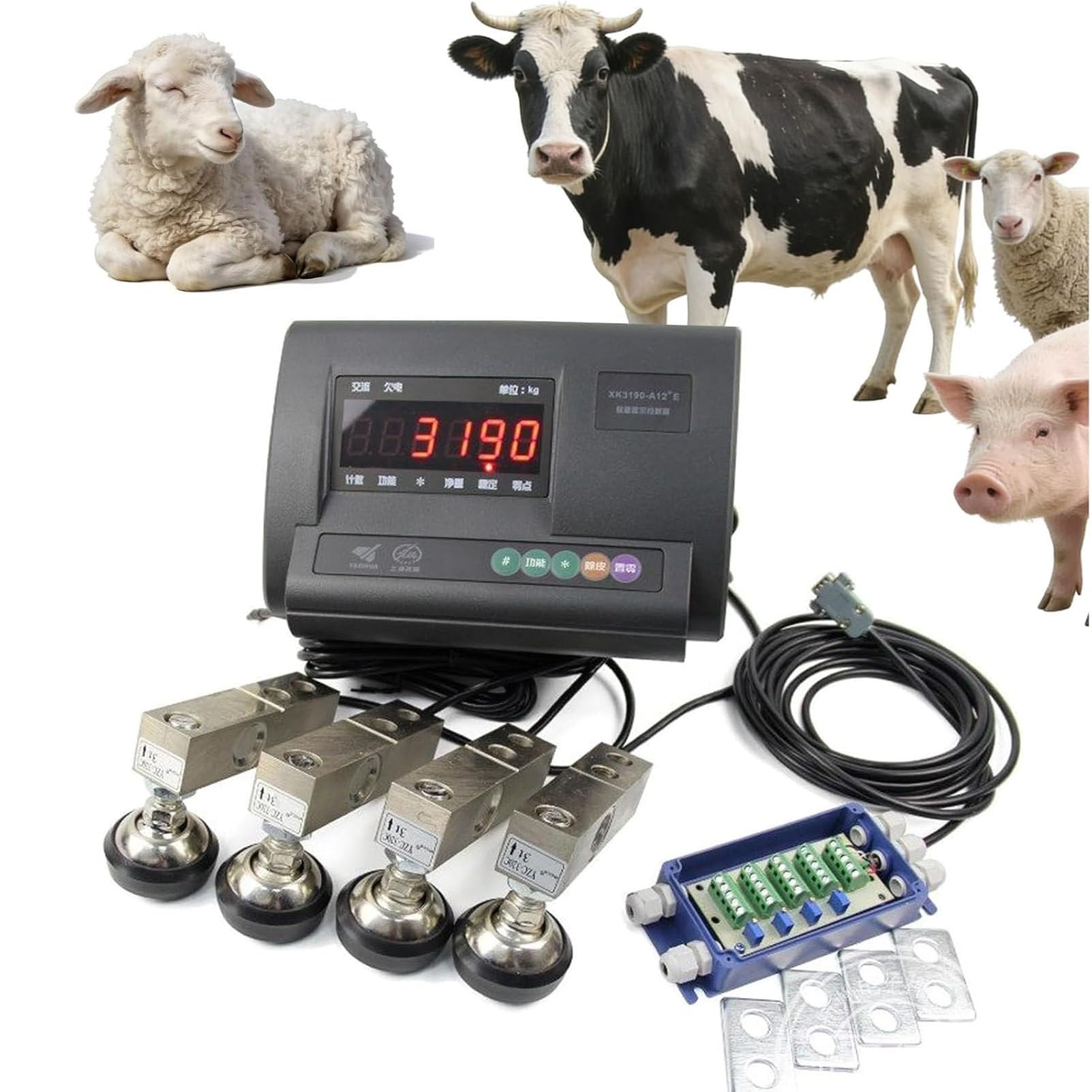 Caibendss Livestock Scale Kit, High Precision Livestock Scale Kit,High Precision Indicator Floor Scale with 4 Load Cells Livestock Pigs Goats Sheep Animal Scales 5000kg