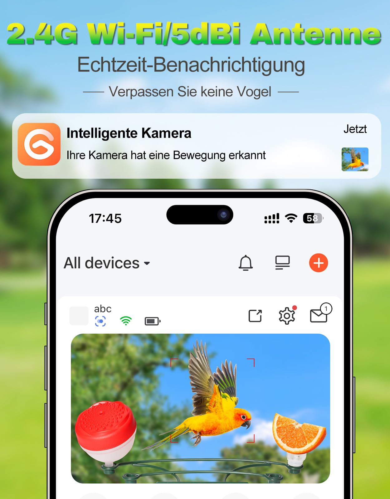 4UMOR Vogelfutterhaus mit Kamera, KI-Vogelerkennung Live-Beobachtung Automatische Aufnahme Solarbetrieb Metall Vogelfutter mit Eichhörnchensicher WLAN & Nachtsicht IP65 Wasserdicht 2K HD Video Smart