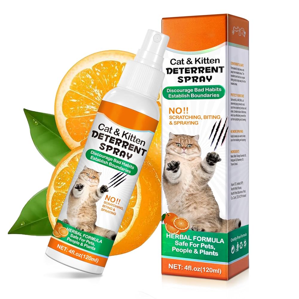 How to Get Cat to Stop Spraying in House: Proven Tips That Work