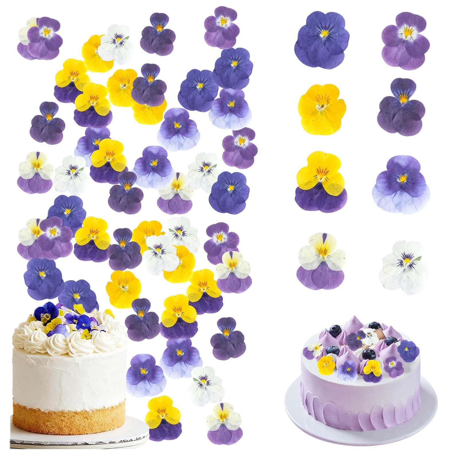 8 Types Naturally Dried,40PCS Pressed Flowers Multi-Coloured Mix Viola Tricolor for Cake Topper Decorating Cocktail Resin Jewelry Making DIY Art Crafts-image-7
