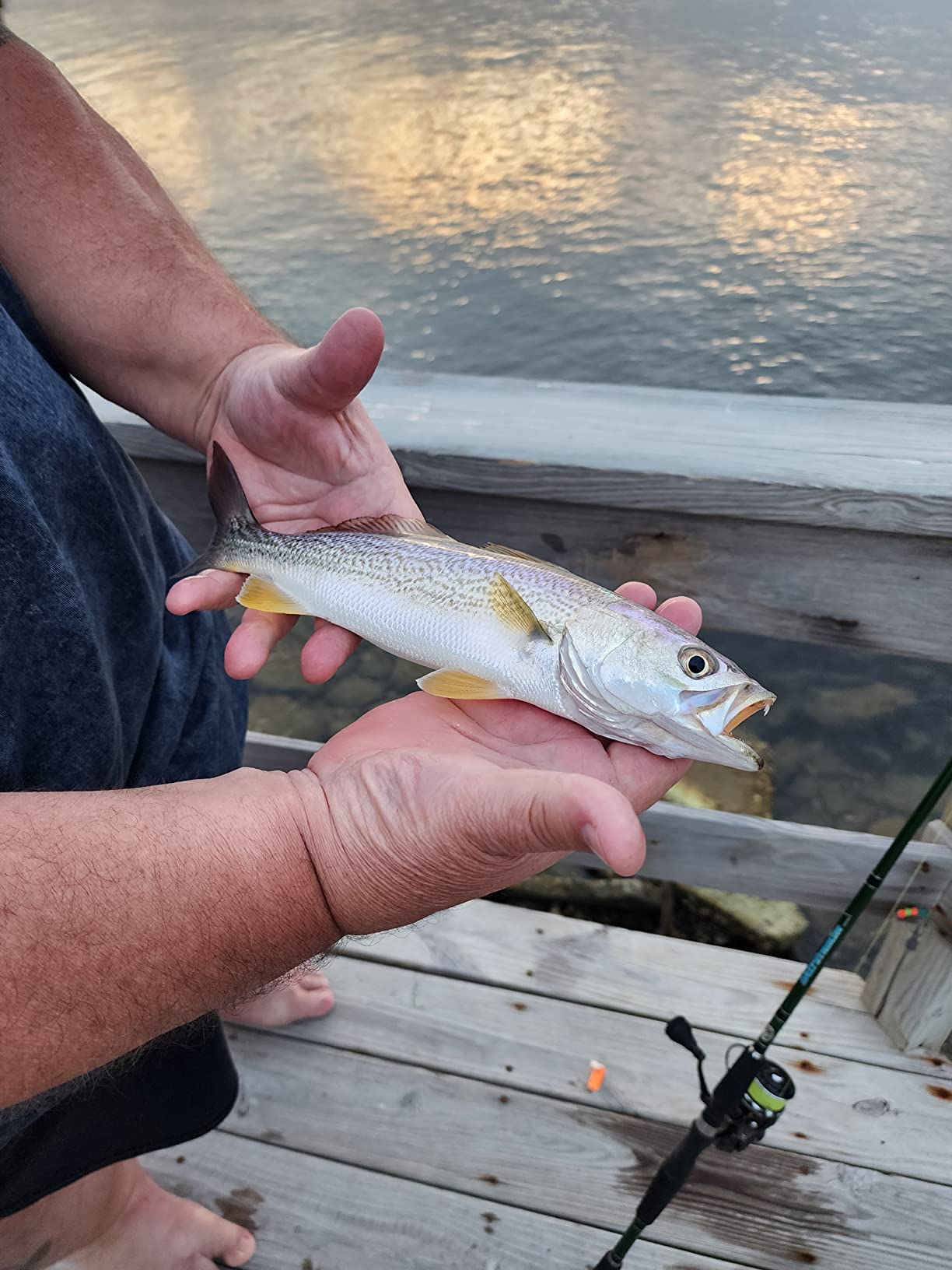 10/mo Finance Reaction Tackle Braided Fishing Line Pro Grade Power