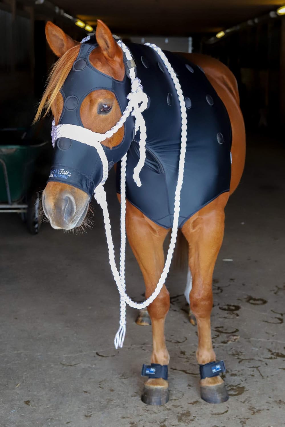 BENEFAB Therapeutic Lycra Horse Hood | Far-Infrared and Magnetic Therapy | Keeping Neck & Shoulders Warm & Relaxed | Reduce Pain & Stiffness | Better Performance & Recovery (Large) : Health & Household