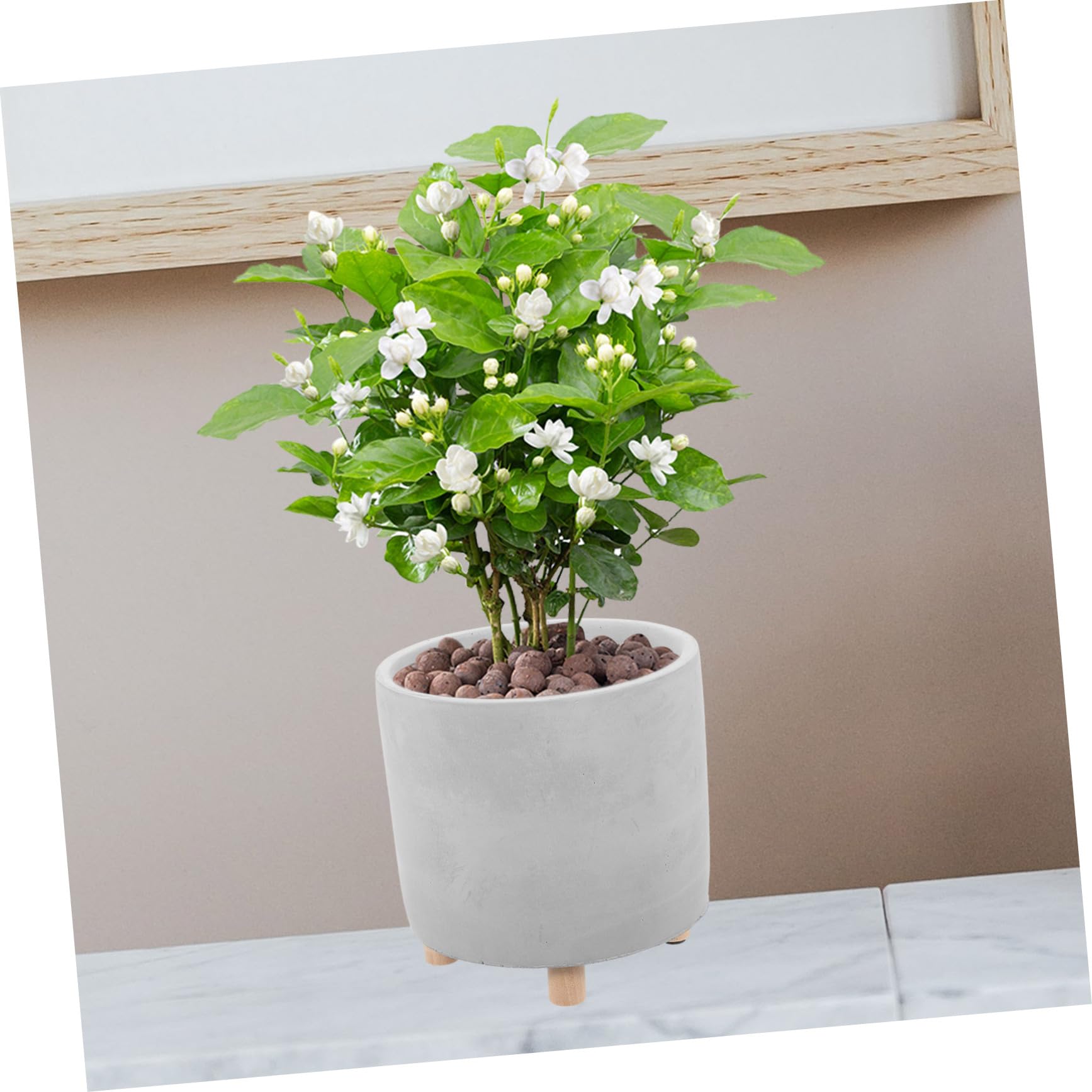 Toyvian Pot de Fleurs Ciment Créatif Jardinière Intérieur pour Plantes Fleurs Maison Bureau Balcon Jardin