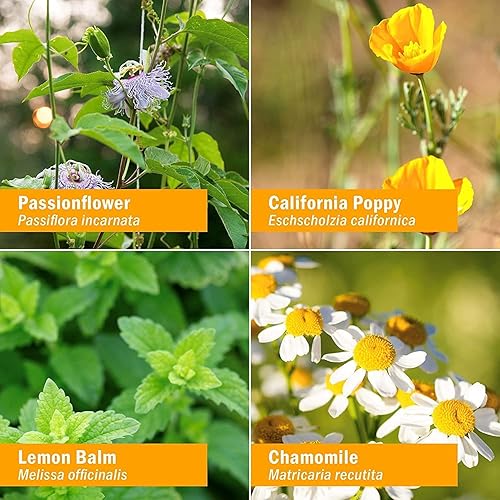 Miniatura 9 de Herb Pharm Fortificante inmunológico sin alcohol para niños, 1 onza y niños sin alcohol para dormir rápido, set de regalo de hierbas de 1 onza