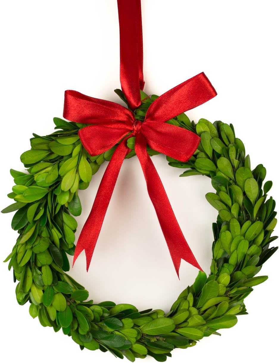 Preserved Boxwood Round Wreath - Red Ribbon - 8 Inch