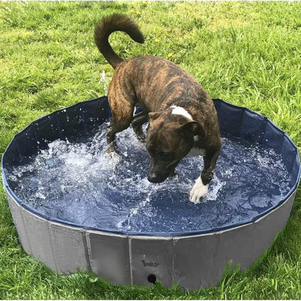 Großer Faltbarer Hundepool 100x30 cm – Rutschfester Gartenpool mit Ablaufventil – 230L Fassungsvermögen – ideal für 1-2 Hunde
