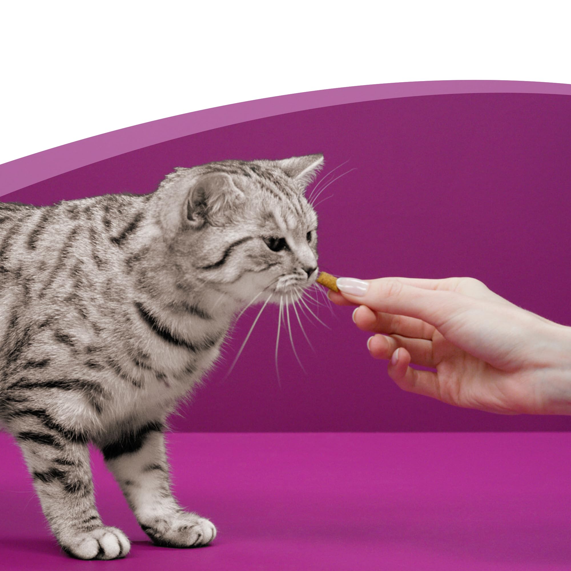 whiskas Snacks Anti-Hairball para Gatos, 50g (Pack de 6)