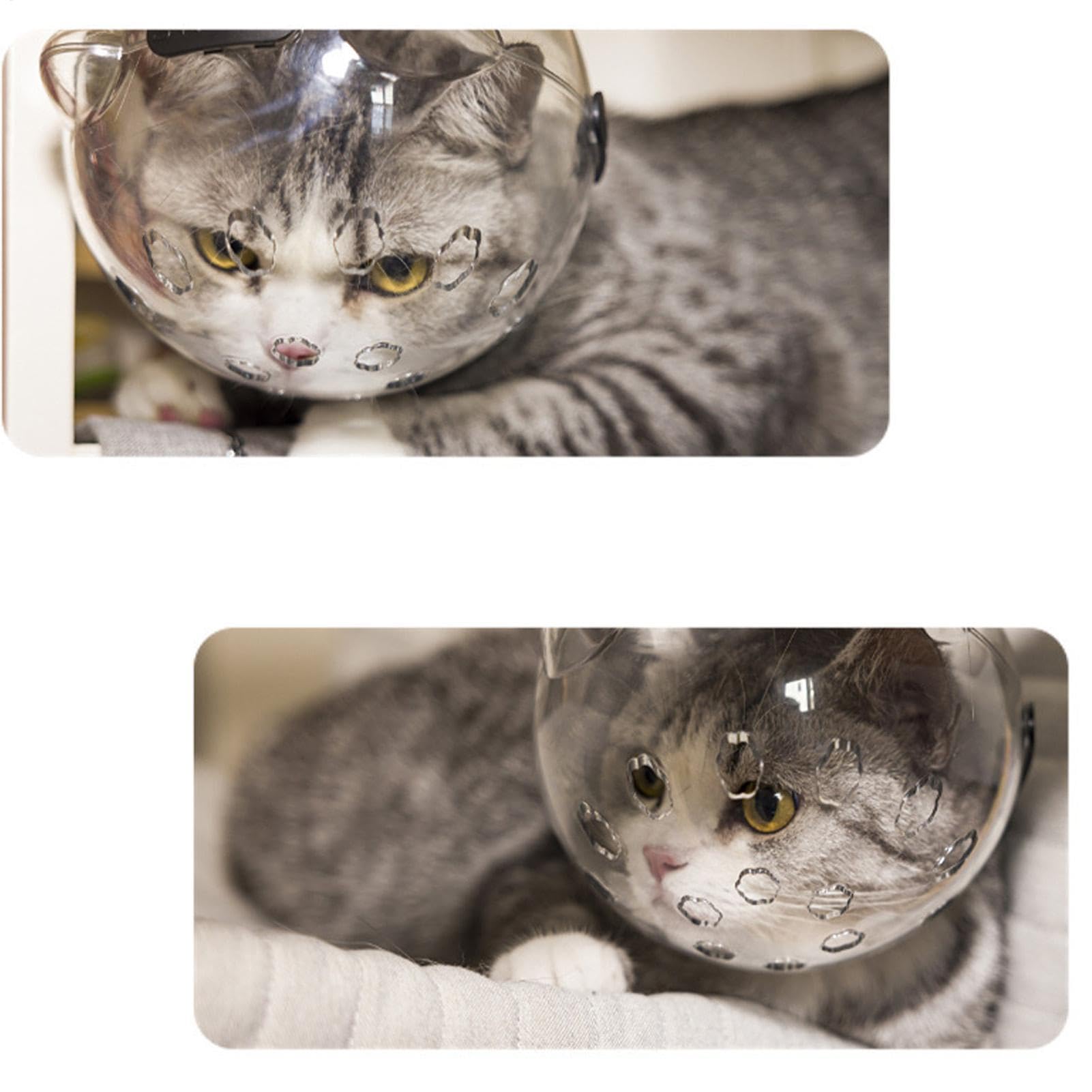 Cat Bubble Schnauze - Cat Ear Bubble Schnauze, Cat Grooming Head Cover | Anti Bite Cat Schnauze, Katzenzubehör, Katzenbäder Rasierschnauze, Atmungsaktiver Komfort, Katzenpflege-Werkzeug