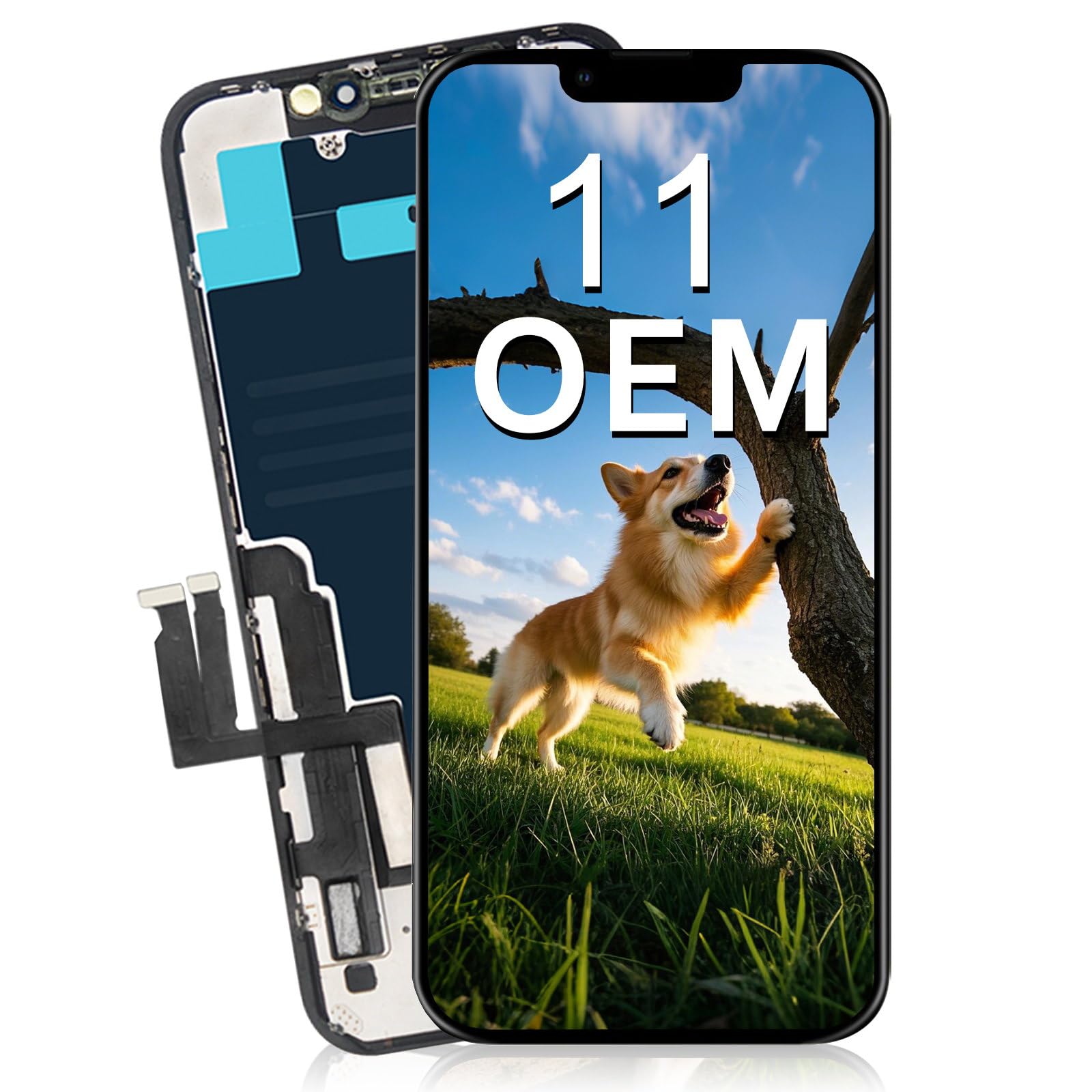 Amazon.com: 6.1”OEM Premium for iPhone 11 Screen Replacement A2111