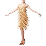 Women Salsa Latin Dance Dress Sequin Tassel Fringe Flapper Dress 1920s Gatsby Cocktail Dress Tango Ballroom Dancing Costume