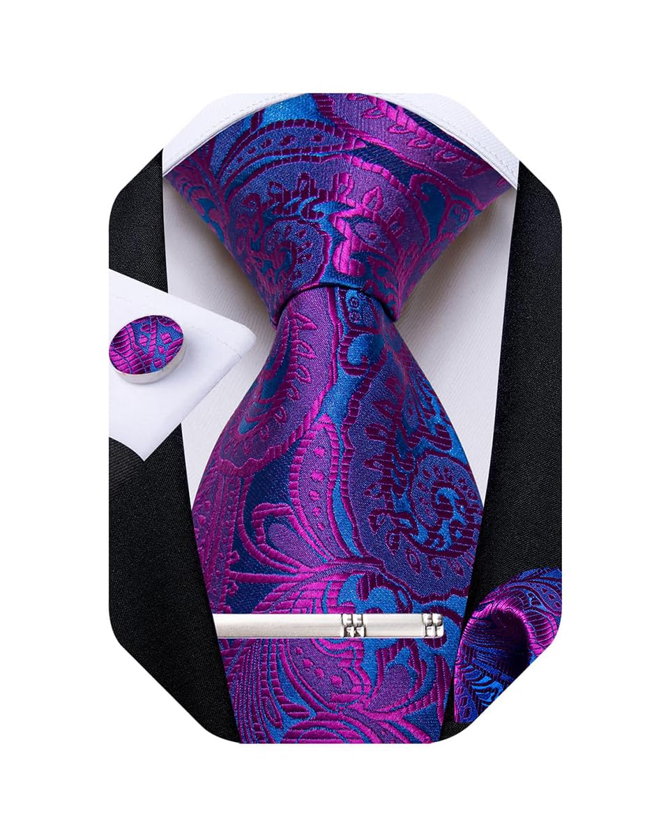 DiBanGu Silk Floral Ties for Men Woven Paisley Necktie