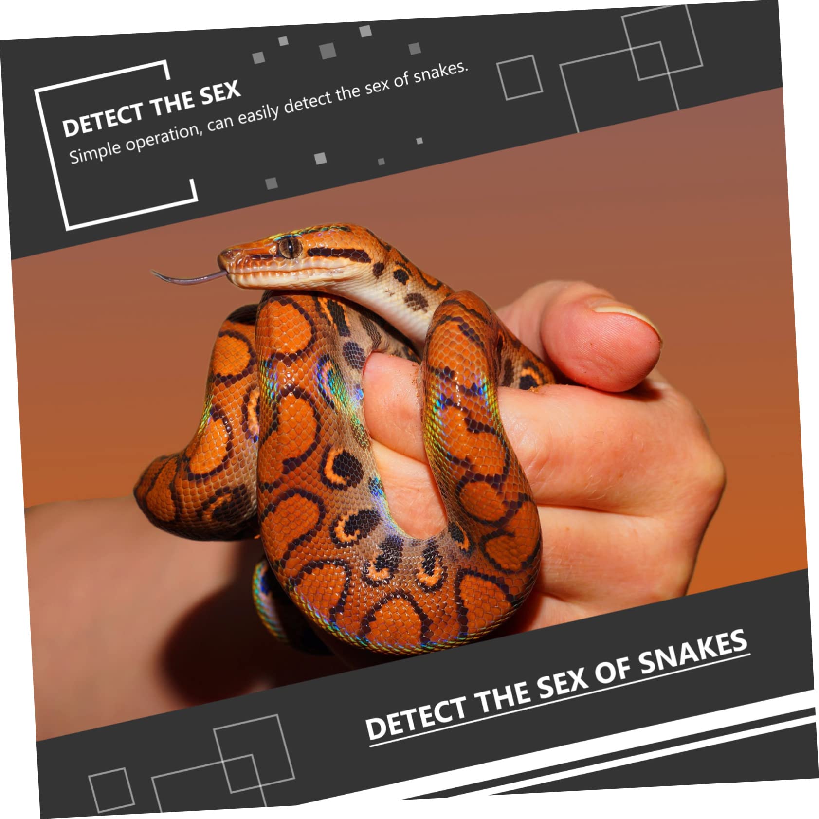 Toddmomy Python Fermé Acier 2 Ensembles Détecteur Repticip De Reptiles Sondes De Sexage des Reptiles De De Serpent Reptiliens De Serpent Outil De Détection De Genre en Acier Inoxydable