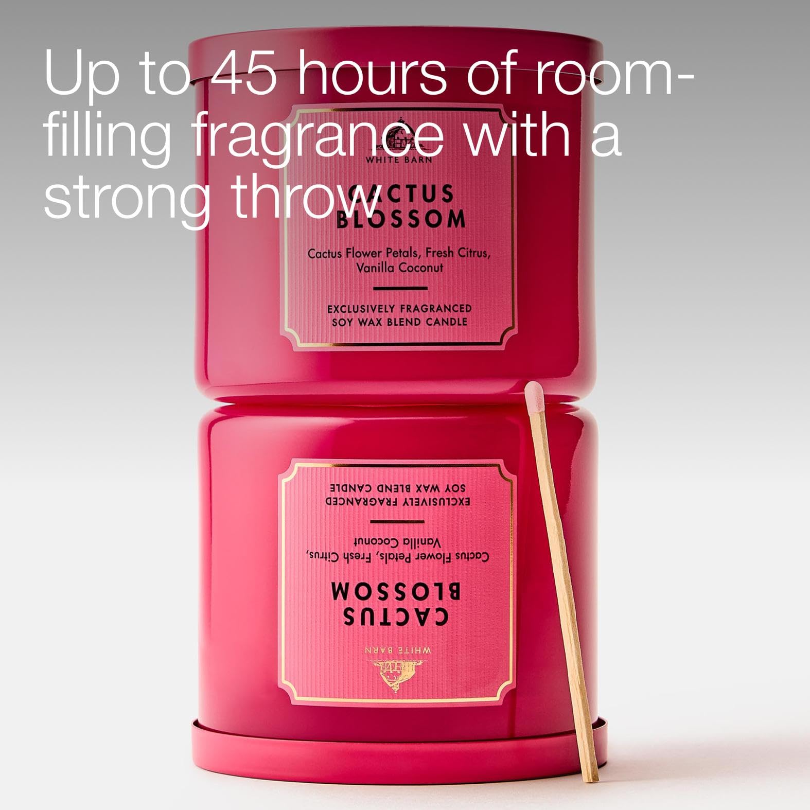 Amazon.com: Bath & Body Works Cactus Blossom 3-Wick Candle - Scented Candle  for At-Home Use - Long-Lasting, Room-Filling Fragrance - High Fragrance Oil  Concentration - Soy Wax Blend : Home & Kitchen