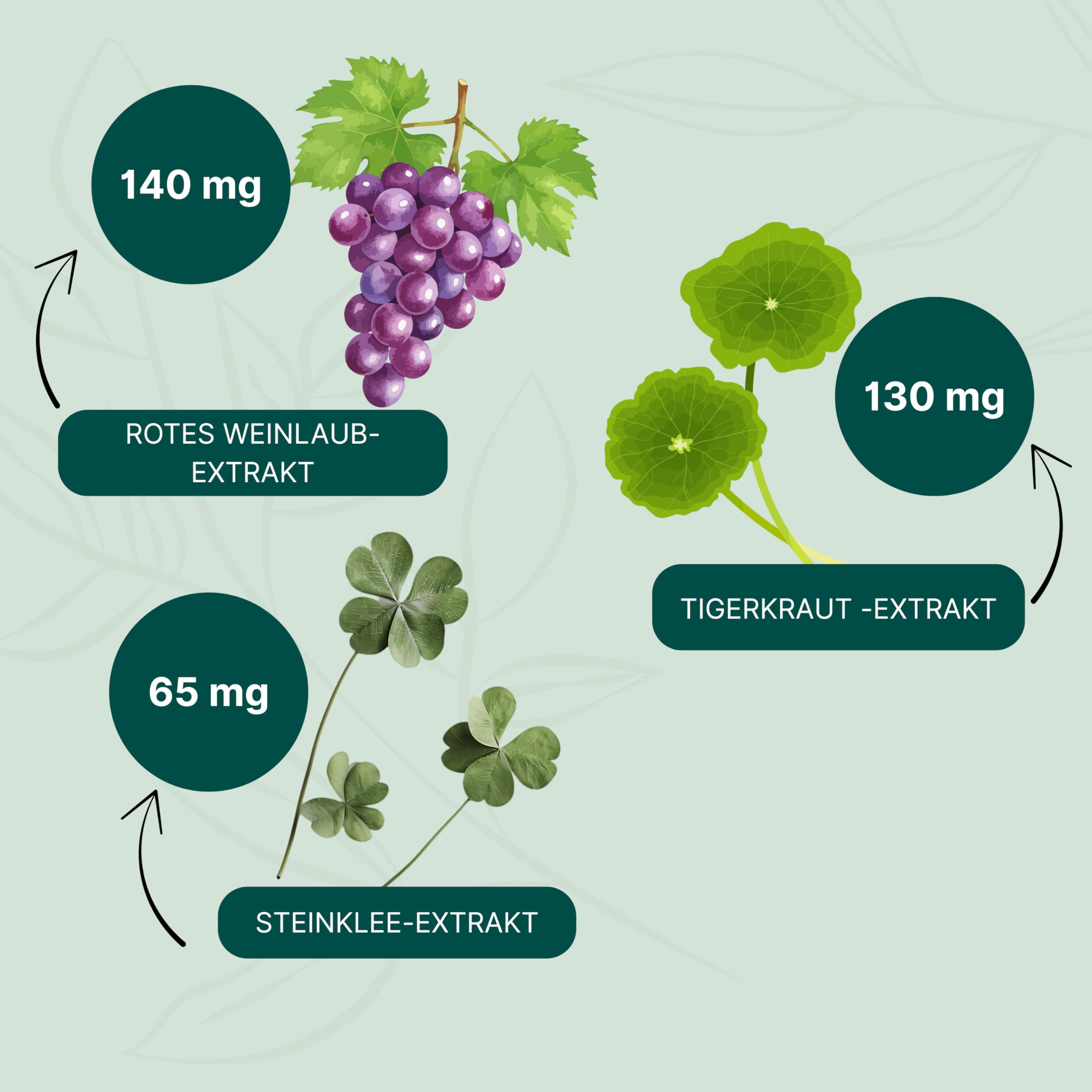 ESSENZ – Veno Plus 2 x 60 Kapseln – Nahrungsergänzungsmittel mit pflanzlichen Extrakten (Rotes Weinlaub, Steinklee, Hamamelis, Tigerkraut, Traubenkern) – vegan & glutenfrei, made in Germany