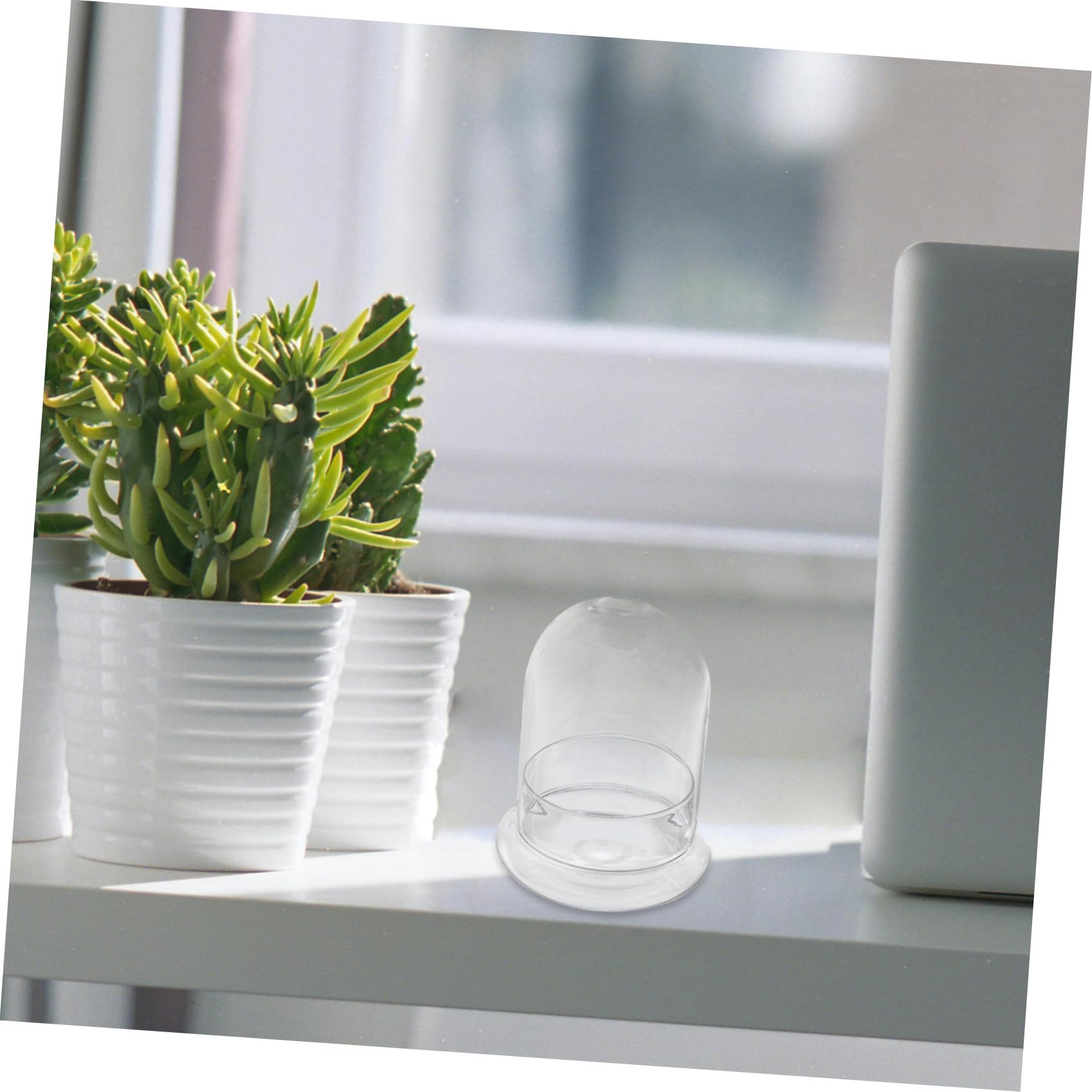 ERINGOGO Mini Bottiglia Da Giardino Per Micro Paesaggi in Vetro Trasparente 12x16cm, Contenitore Semplice Ecologico Stabile e Adatto Per Casa, Hotel e Ristoranti