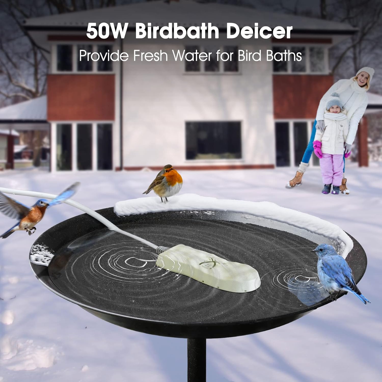 SUPERELIEF Bird Bath Heater 50W Made of Die Cast Aluminum with Thermostatically Controlled Waterproof for Outdoor in Winter at Lawn Patio Backyard Garden Decoration Birding : Patio, Lawn & Garden