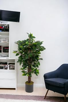 YOUR ARTIFICIAL FLOWER Dense Leaf Benjamin Tree in Gray Pot
