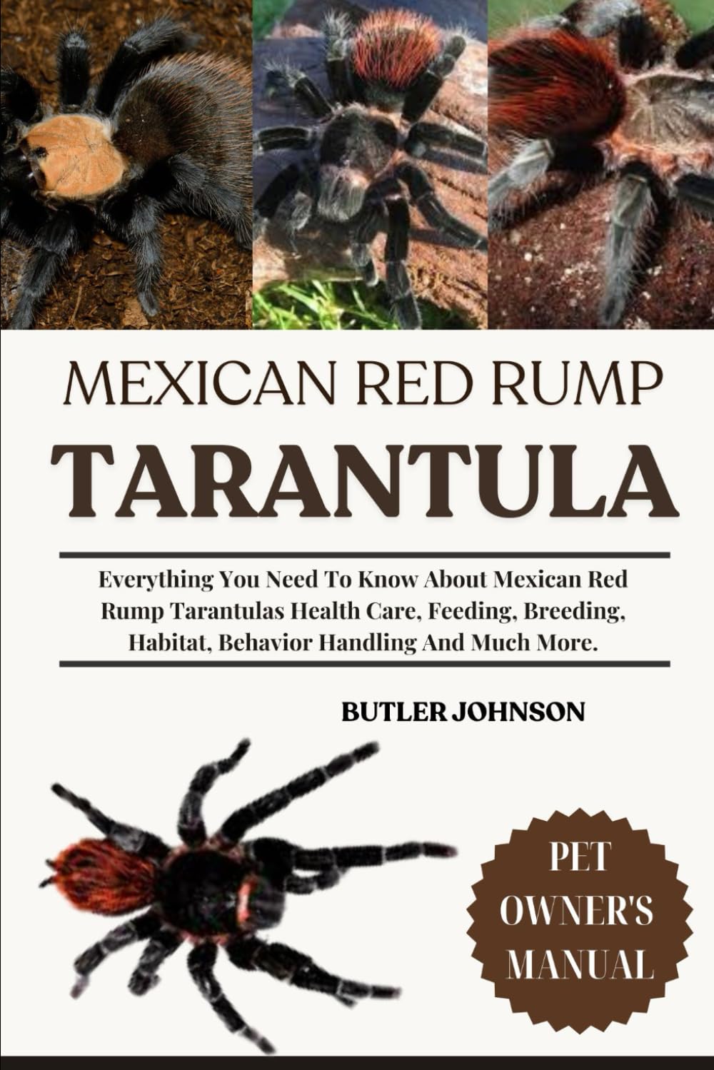 MEXICAN RED RUMP TARANTULA: Everything You Need To Know About Mexican Red Rump Tarantulas Health Care, Feeding, Breeding, Habitat, Behavior Handling And Much More.