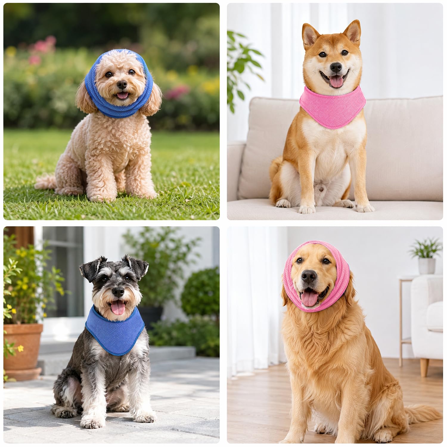 Kühlbandana für Hunde, 2er Pack, EIS-Halsbänder, verhindert Sonnenstich, Rosa & Blau, M