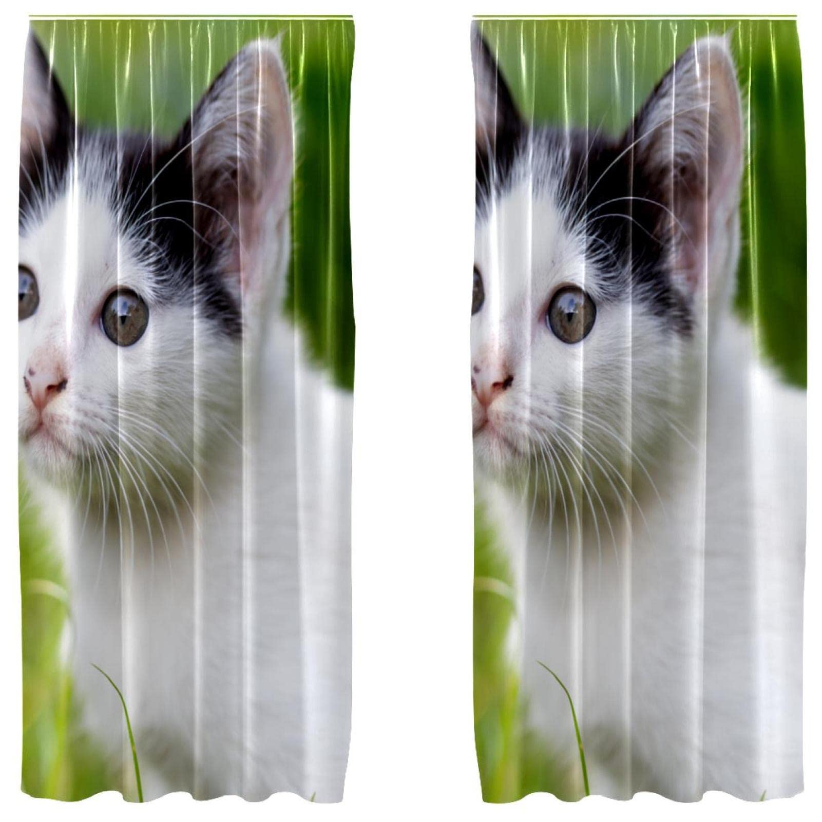 Habillage de fenêtre chambre à coucher rideau chat herbe