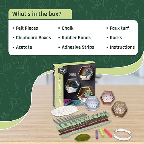 Miniatura 5 de Craft Crush  Kit de artesanía de mini terrarios, para hacer 3 terrarios geométricos con suculentas de fieltro de colores