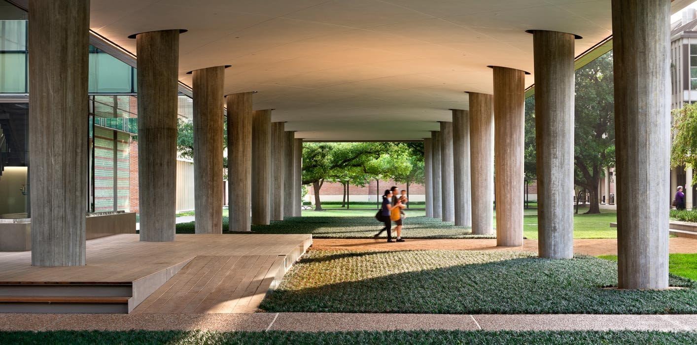 Dwarf Mondo Grass - 40 Live Plants - Shade Loving Evergreen Ground Cover Ophiopogon Japonicus Nanus