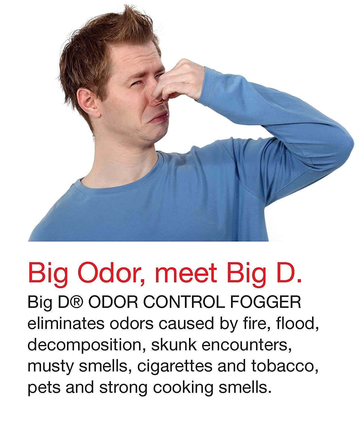 Big D Fogger/Bomb The Best Car Odor Eliminator/Air Freshener SUNBURST Removes Cigarette