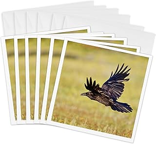 3dRose Greeting Cards - Wyoming, Yellowstone NP, Common Raven in flight - US51 LDI0086 - Larry Ditto - 6 Pack - Birds