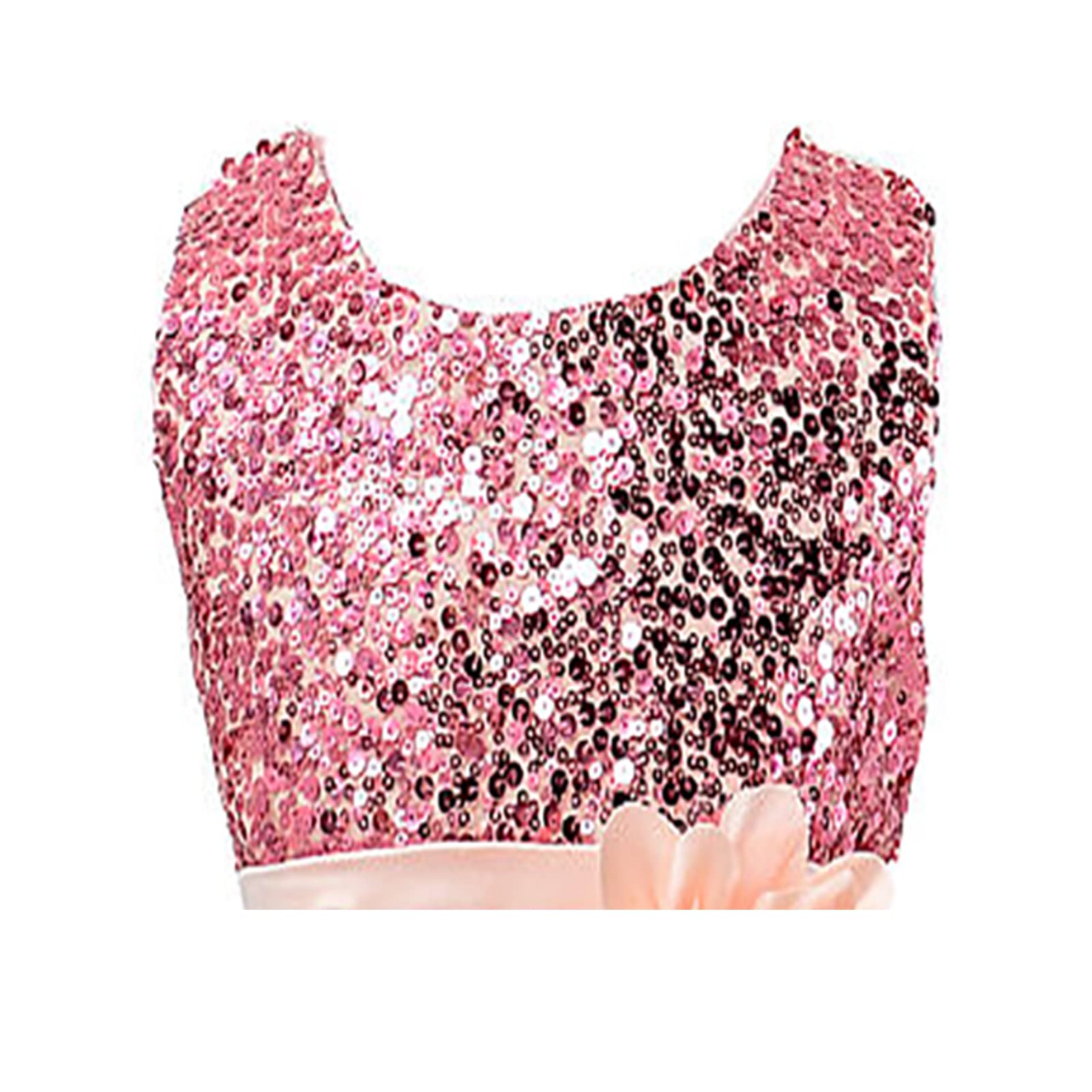 Toddler Girl Dress Flower Sleeveless Sequin Tutu Dresses for Girls Wedding Pageant Party Princess Dress Pink 2-3T