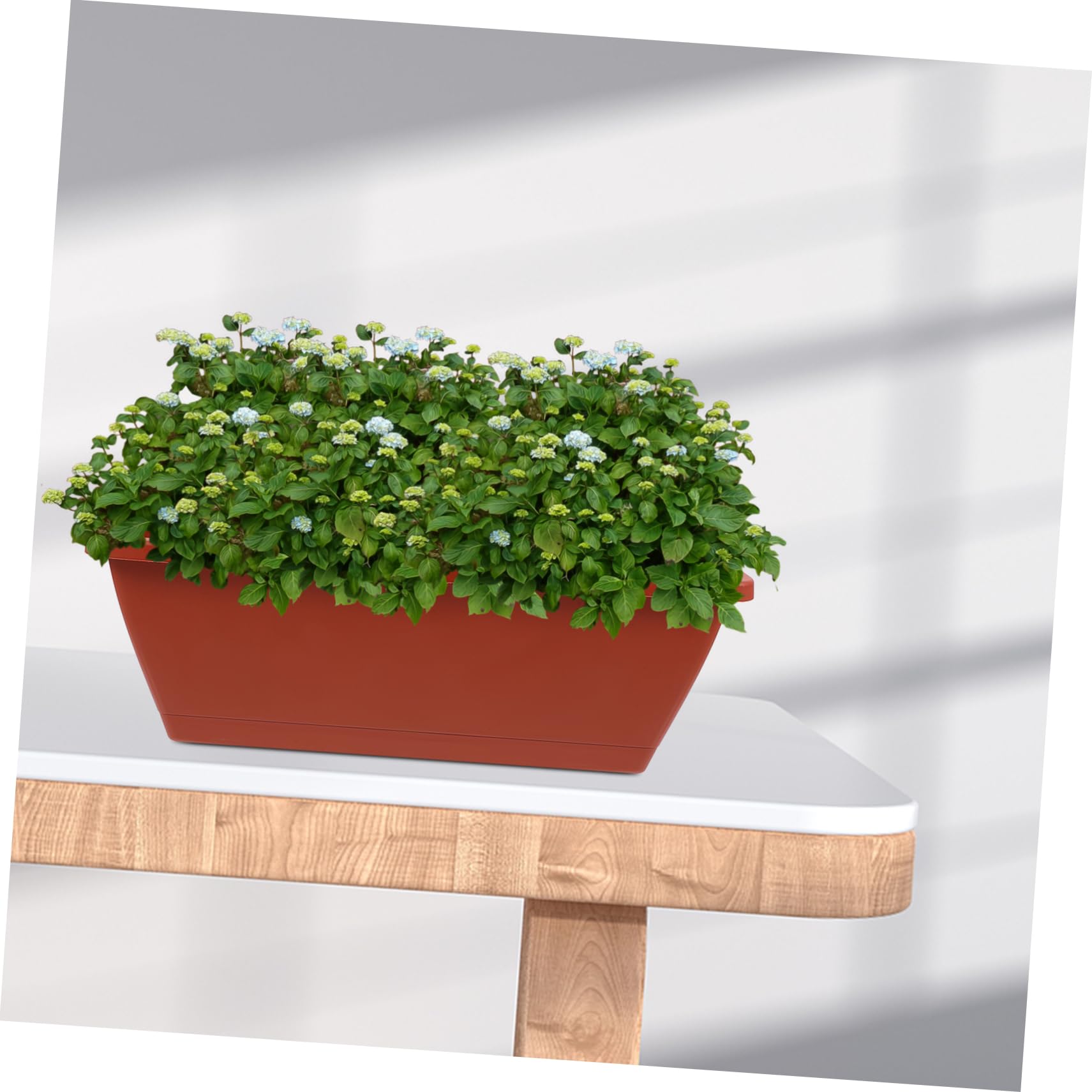 HANABASS 6pezzi Vasi in Plastica Rettangolari Rossi Per Piante Grandi Bonsai e Orto Da Interno Ed Esterno Profondi Traspiranti e Resistenti Per Balcone e Ufficio