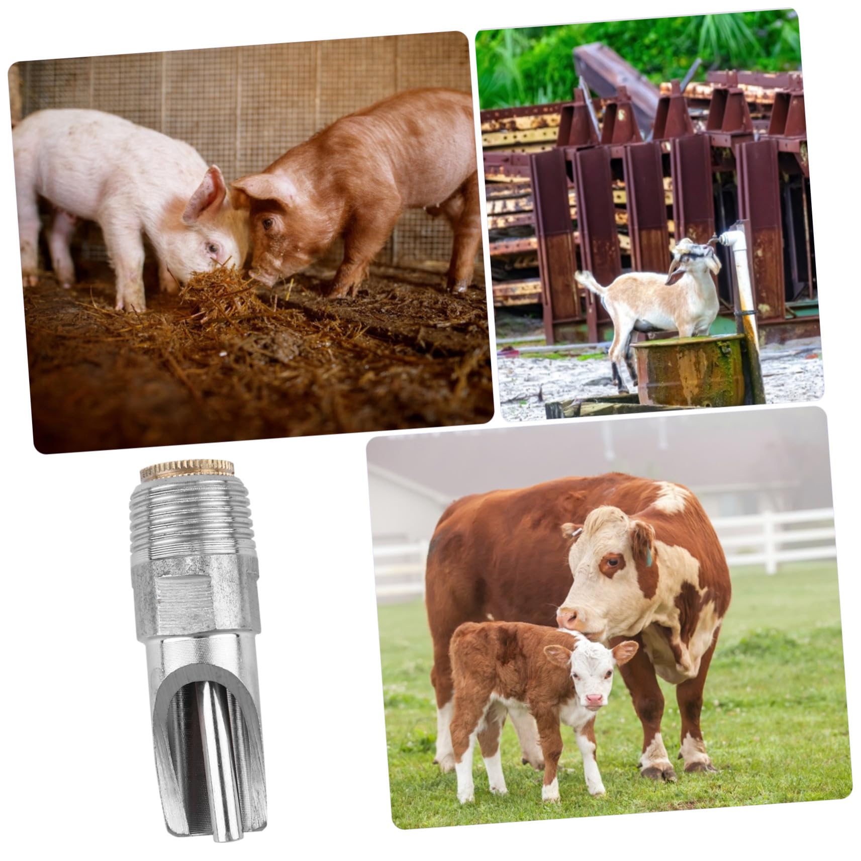 10 Stück Teiliges Schweine Tränkenippel aus Dickem Edelstahl Automatischer Wasserspender mit Auslaufsicherem Design für Ferkel Sauen und Nutztiere Tierhaltung