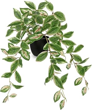 DILATATA Fake Plants Artificial Potted Plants 20 Inch Faux Peperomia Ivy Vine Plant Hanging Plant for Home Office Desk Shelf Indoor Outdoor Decor