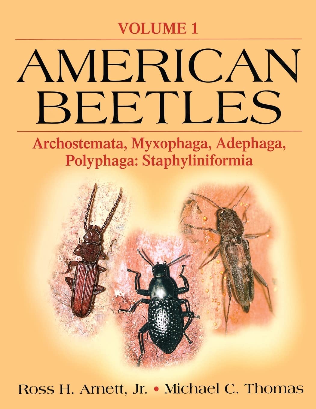 The American Beetles Vol 1: Archostemata, Myxophaga, Adephaga, Polyphaga: Staphyliniformia