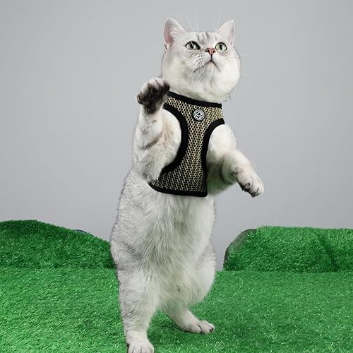 Miniatura 5 de Arnés para perro, arnés de malla cómoda para perro, arnés Vesr extra pequeño para mascotas, arnés acolchado suave y ligero para gato, perrito,