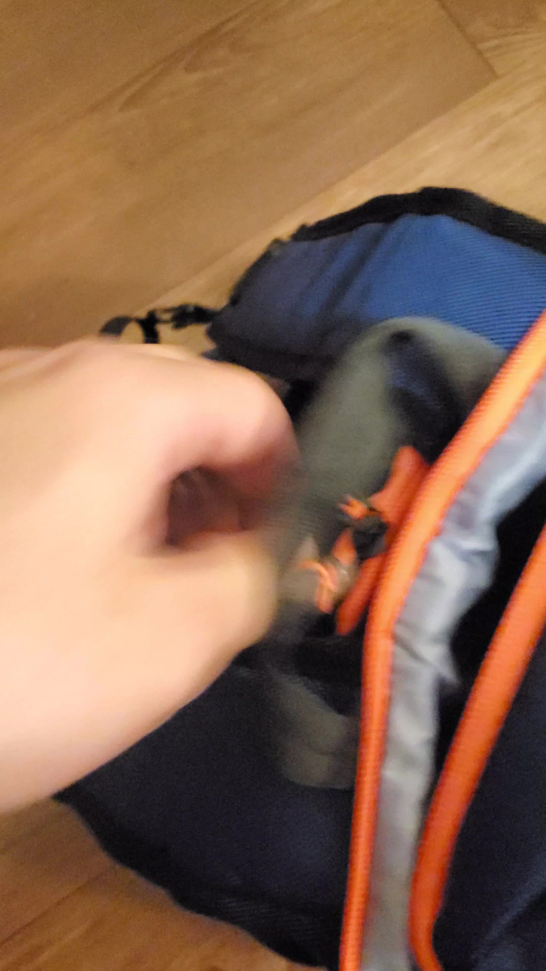 Very nice weather bag. It actually works lol.