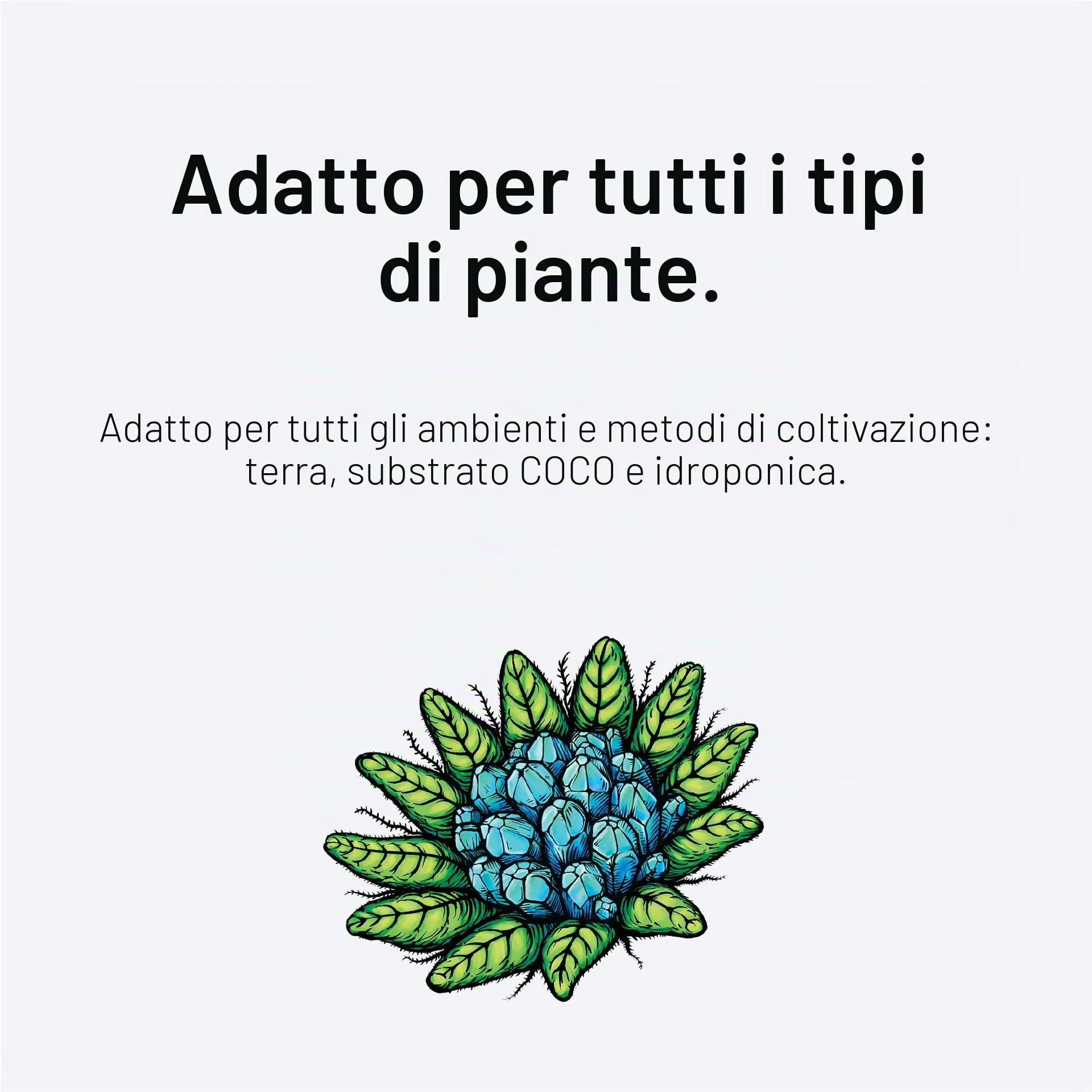 Silica Force - Additivo di silice per riduttore dello stress vegetale (1L)